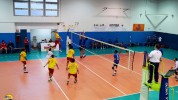 Team Volley - Gestioni Partinico